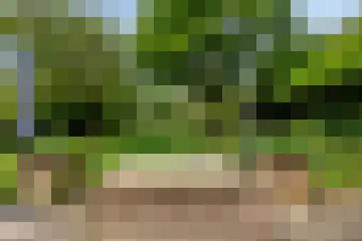 Breestraat 1 Hoogeloon thumbnail 4