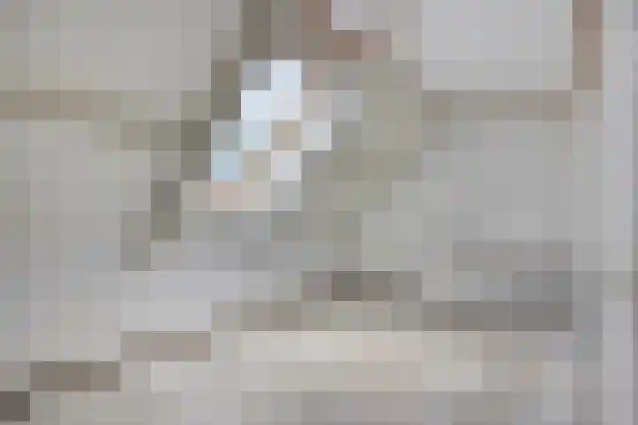 Breestraat 1 Hoogeloon thumbnail 41
