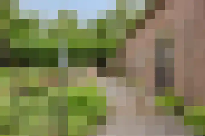 Breestraat 1 Hoogeloon thumbnail 50