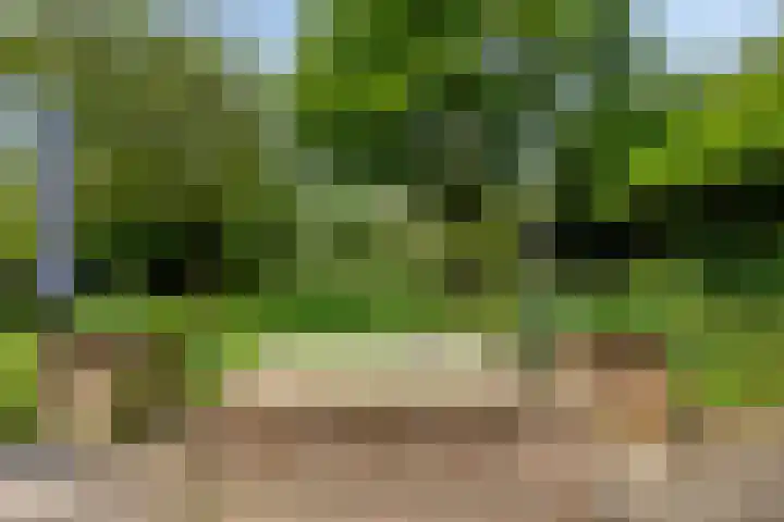 Breestraat 1 Hoogeloon thumbnail 51