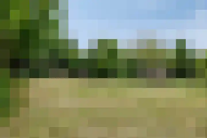 Breestraat 1 Hoogeloon thumbnail 56