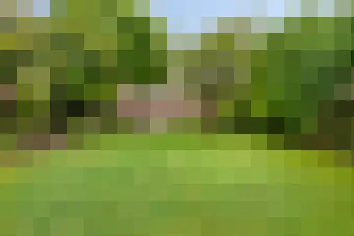 Breestraat 1 Hoogeloon thumbnail 59