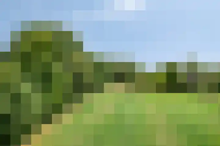 Breestraat 1 Hoogeloon thumbnail 60