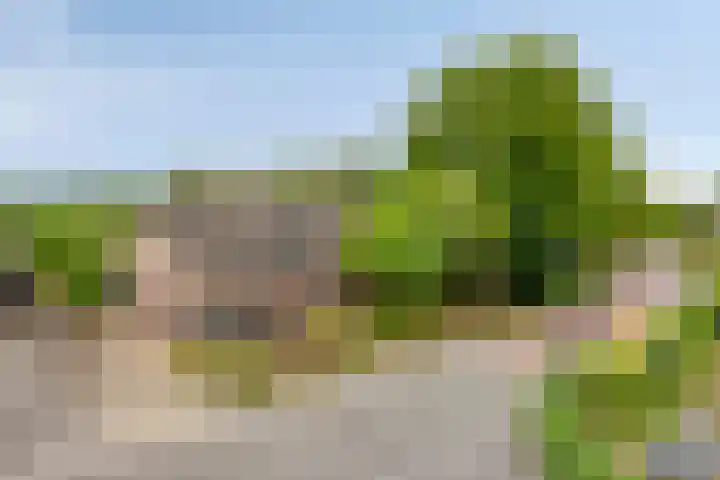 Breestraat 1 Hoogeloon thumbnail 71