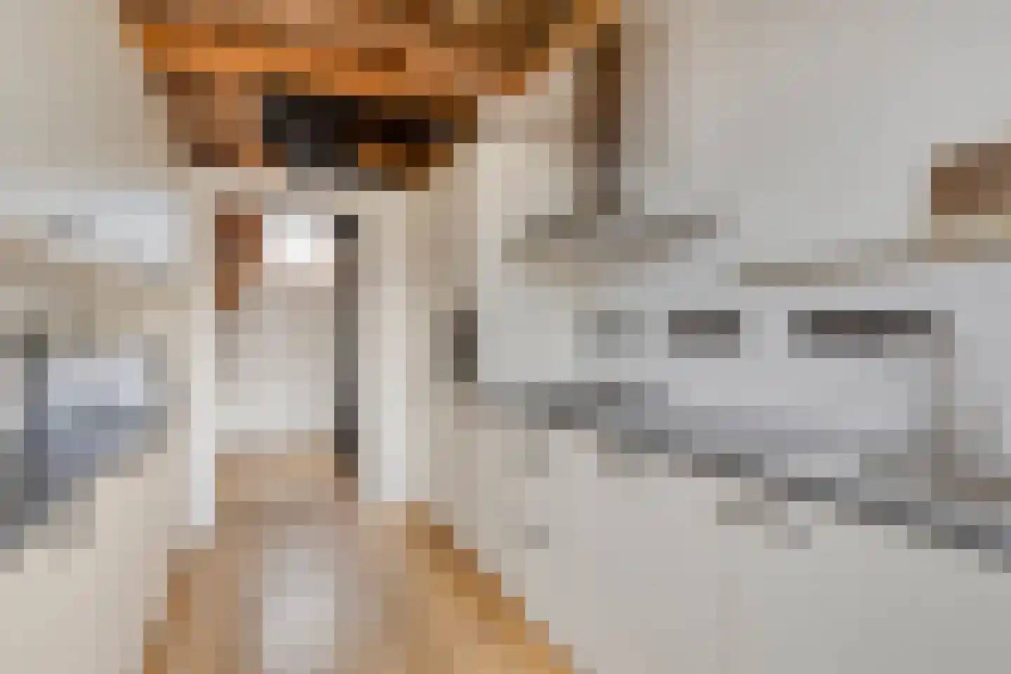 Breestraat 123 B Leiden thumbnail 13