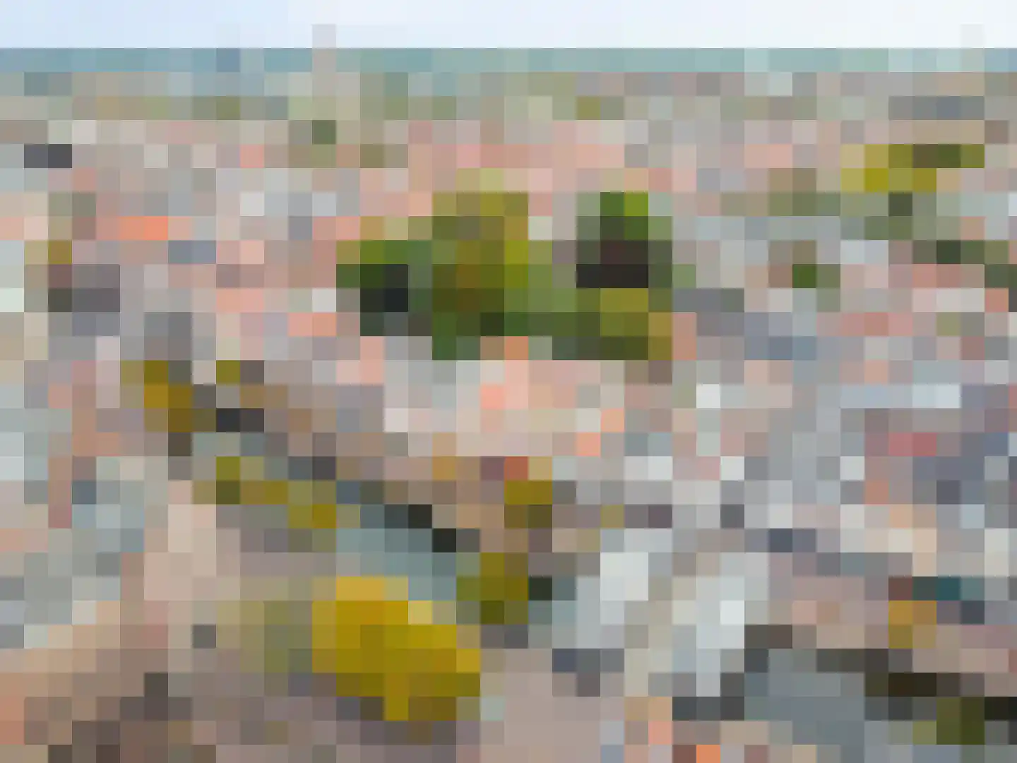 Breestraat 123 B Leiden thumbnail 32