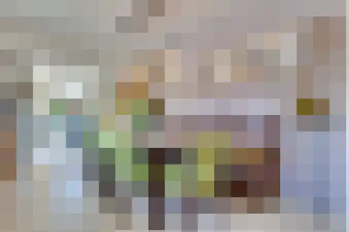 Breestraat 22 Maasbree thumbnail 13