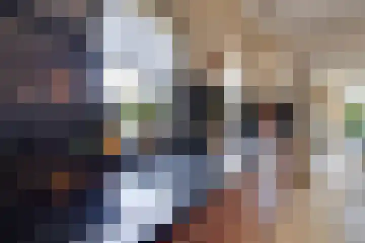Breestraat 22 Maasbree thumbnail 14