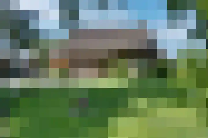 Breestraat 22 Maasbree thumbnail 4