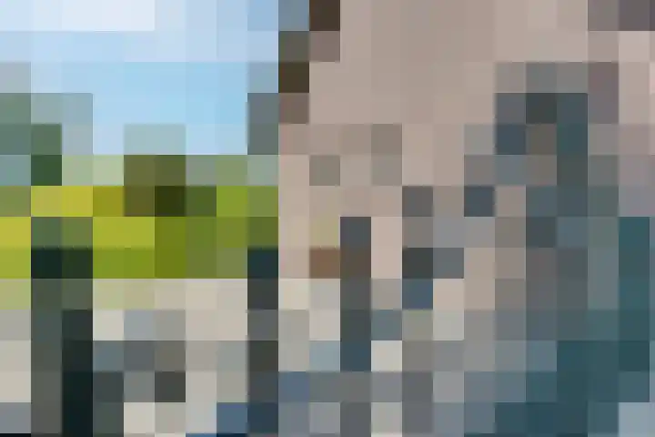 Breestraat 22 Maasbree thumbnail 44