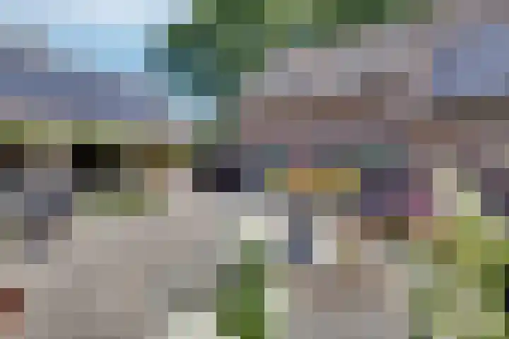 Breestraat 22 Maasbree thumbnail 46