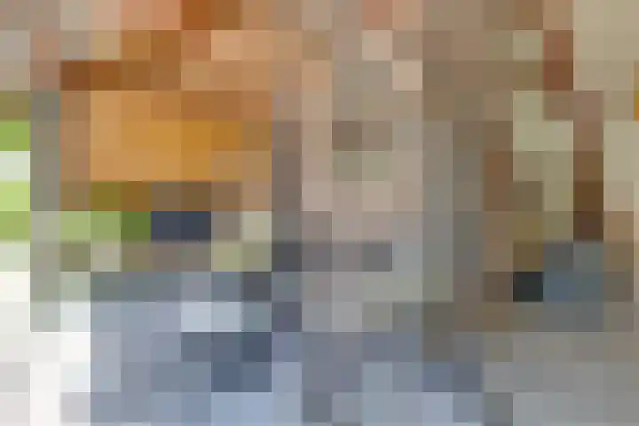 Breestraat 22 Maasbree thumbnail 47