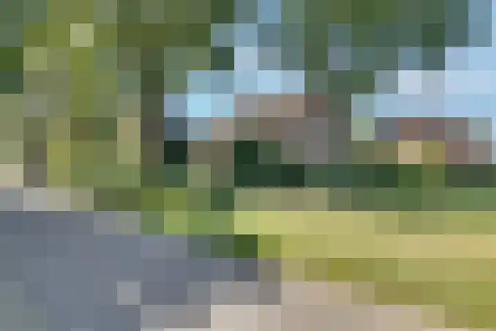 Breestraat 22 Maasbree thumbnail 5