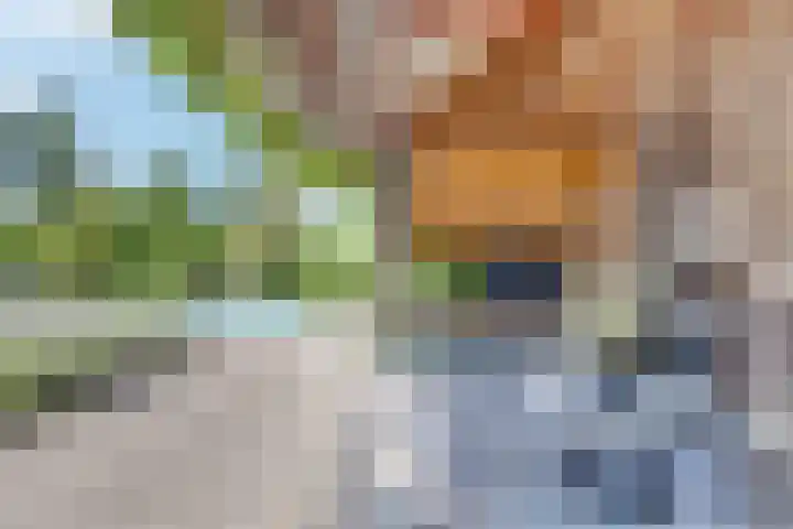 Breestraat 22 Maasbree thumbnail 51