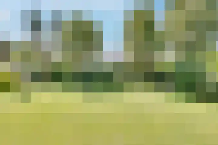 Breestraat 22 Maasbree thumbnail 59