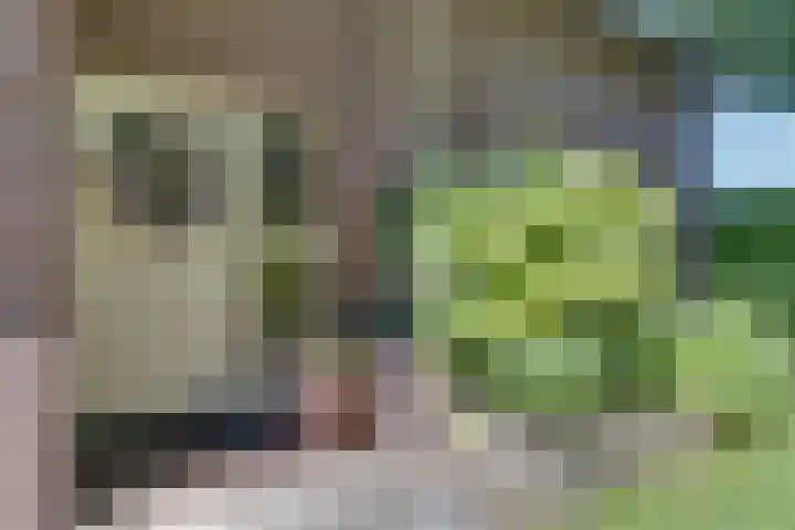 Breestraat 22 Maasbree thumbnail 6