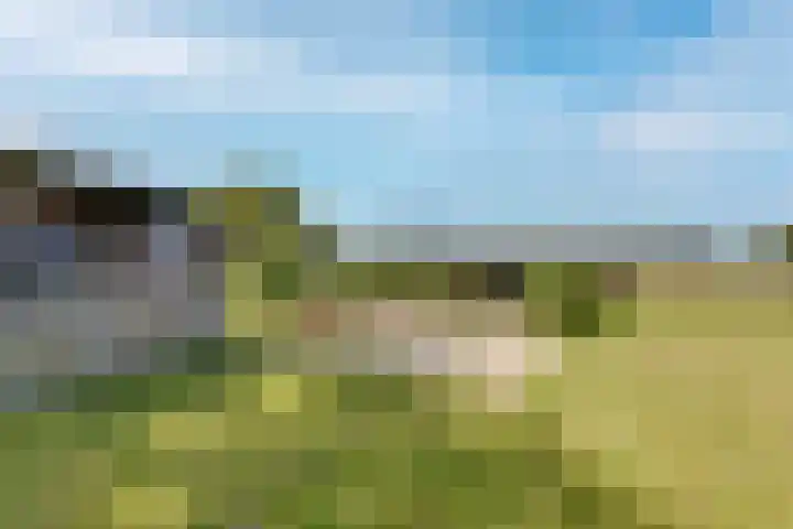 Breestraat 22 Maasbree thumbnail 61