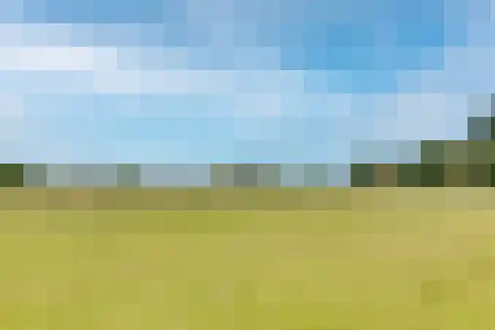 Breestraat 22 Maasbree thumbnail 63