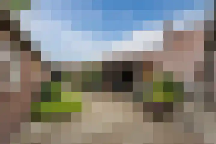 Breestraat 56 Sint Anthonis thumbnail 24
