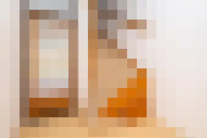 Breeuwer 1 Hoorn thumbnail 10
