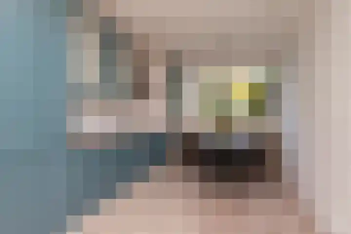 Breeuwer 1 Hoorn thumbnail 15
