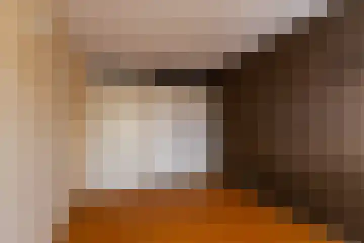 Breeuwer 1 Hoorn thumbnail 20