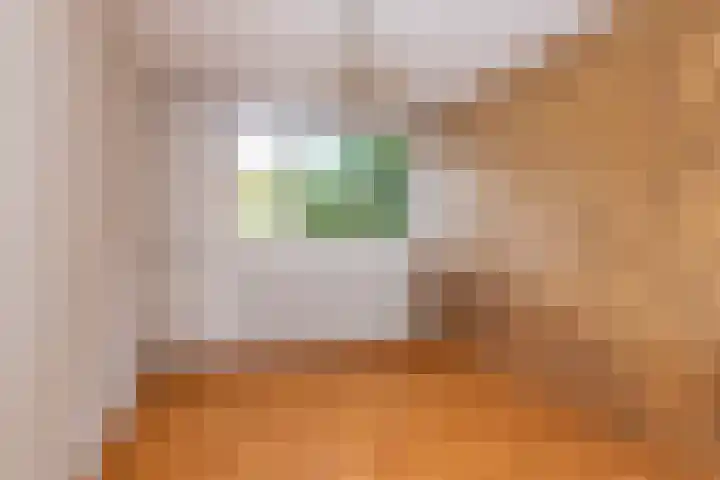Breeuwer 1 Hoorn thumbnail 21