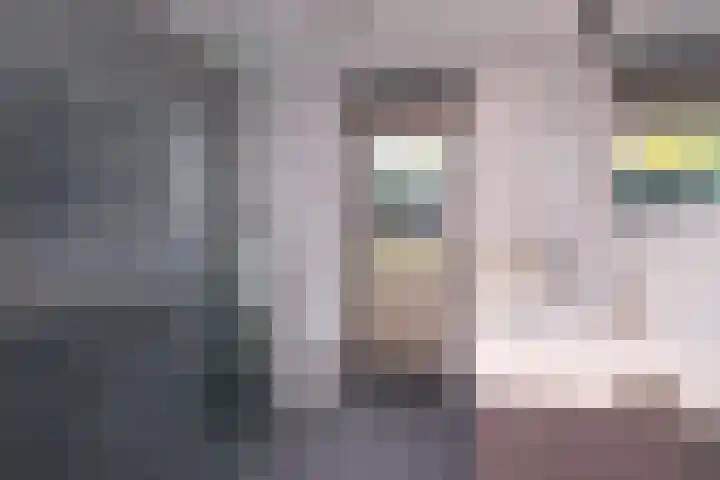 Breeuwer 1 Hoorn thumbnail 23
