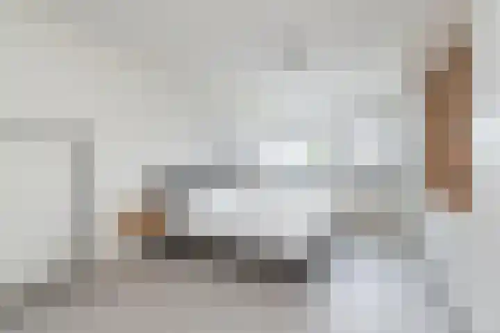 Breeuwer 1 Hoorn thumbnail 25