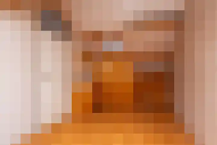Breeuwer 1 Hoorn thumbnail 26