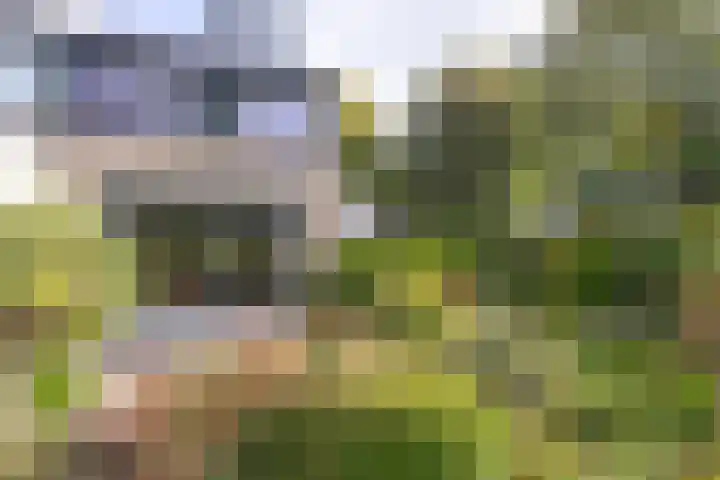 Breeuwer 1 Hoorn thumbnail 31