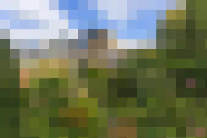 Breeuwer 1 Hoorn thumbnail 32