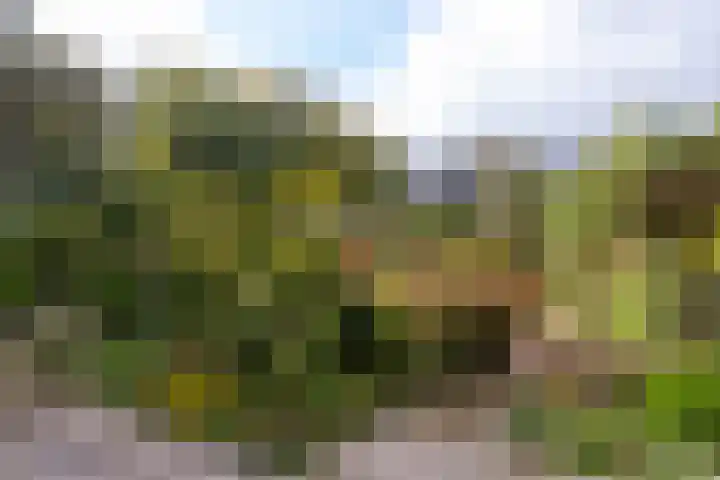 Breeuwer 1 Hoorn thumbnail 36