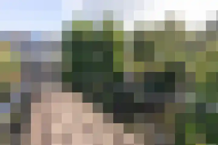 Breeuwer 1 Hoorn thumbnail 38