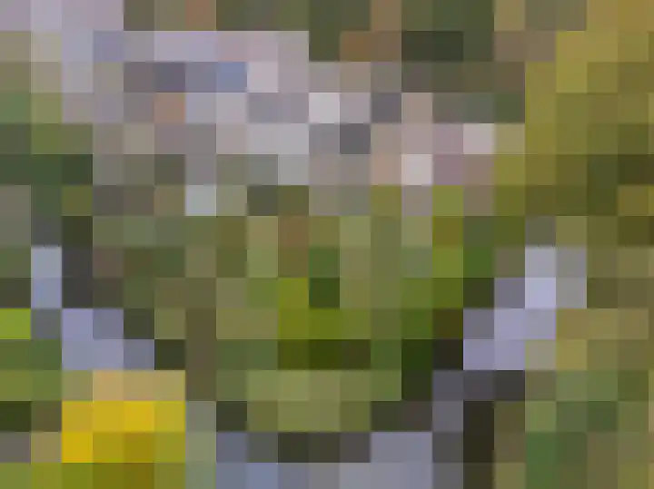 Breeuwer 1 Hoorn thumbnail 4