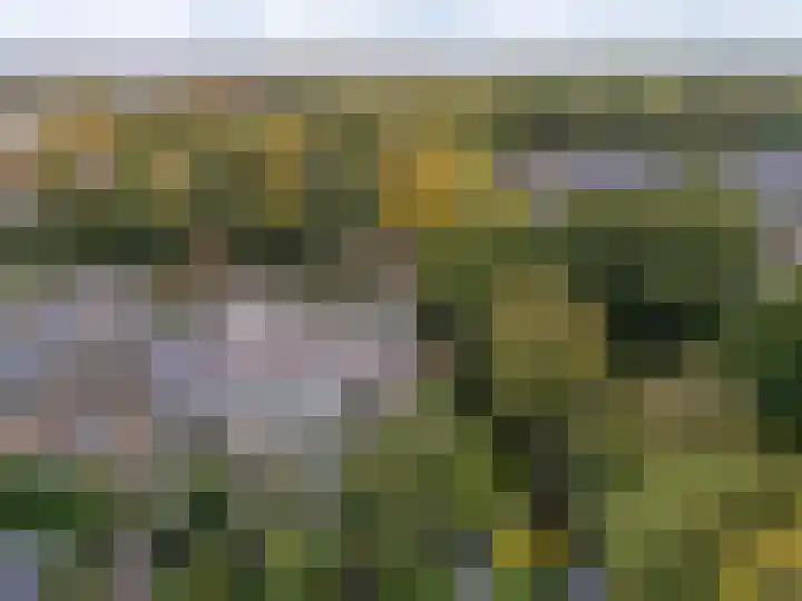 Breeuwer 1 Hoorn thumbnail 41
