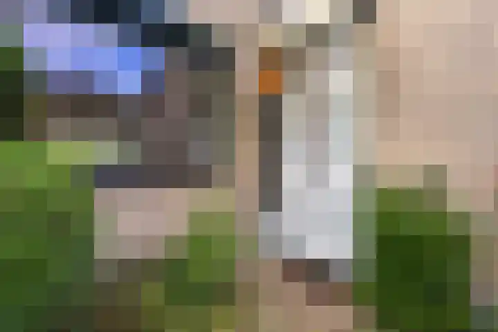 Breeuwer 1 Hoorn thumbnail 7