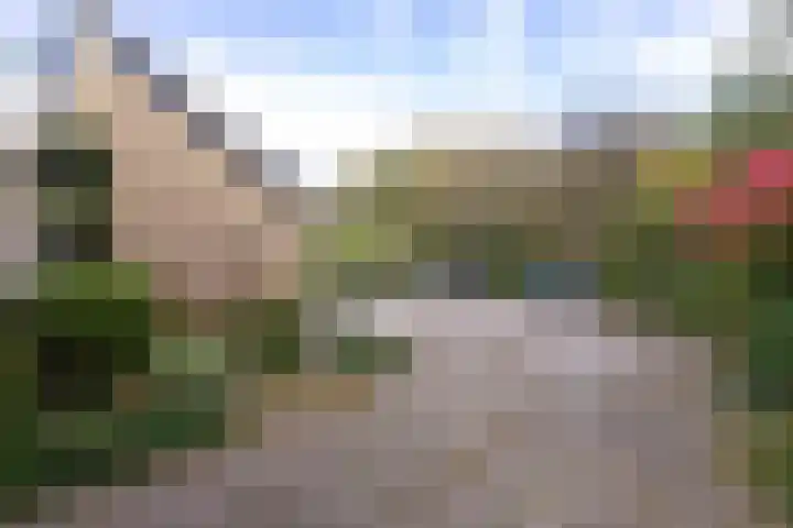 Breeuwer 1 Hoorn thumbnail 8