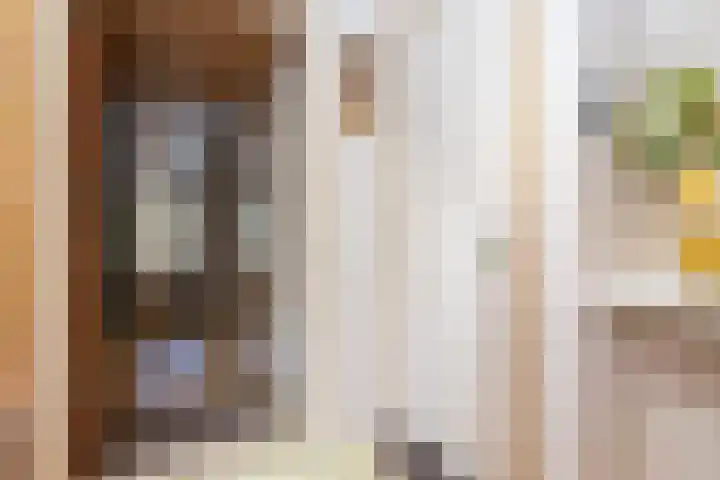 Breeuwer 1 Hoorn thumbnail 9