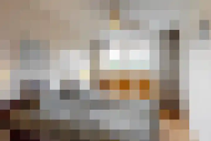 Breeuwer 31 Hoorn thumbnail 11