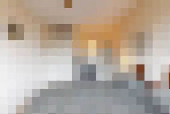 Breeuwer 31 Hoorn thumbnail 12
