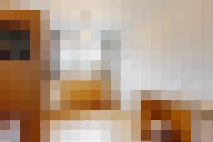 Breeuwer 31 Hoorn thumbnail 13