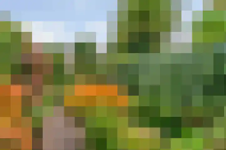 Breeuwer 31 Hoorn thumbnail 22