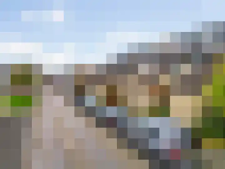 Breeuwer 31 Hoorn thumbnail 29