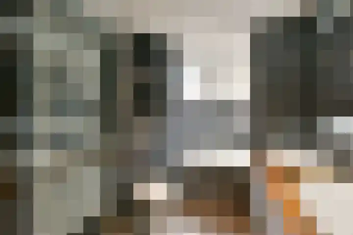Breeuwer 89 Hoorn thumbnail 17