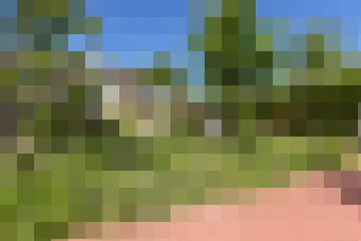 Breeuwer 89 Hoorn thumbnail 28