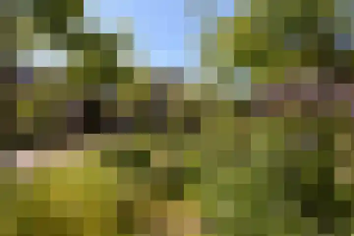 Breeuwer 89 Hoorn thumbnail 31