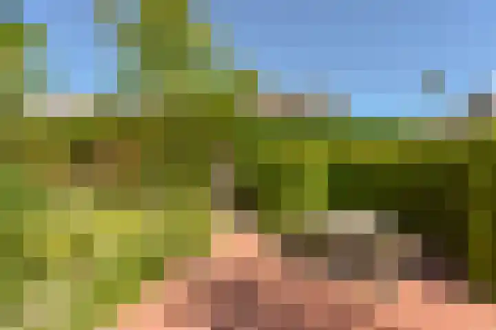Breeuwer 89 Hoorn thumbnail 32
