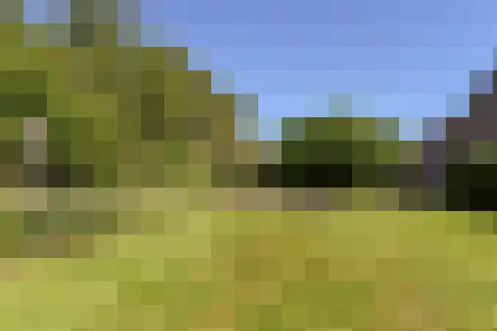 Breeuwer 89 Hoorn thumbnail 33