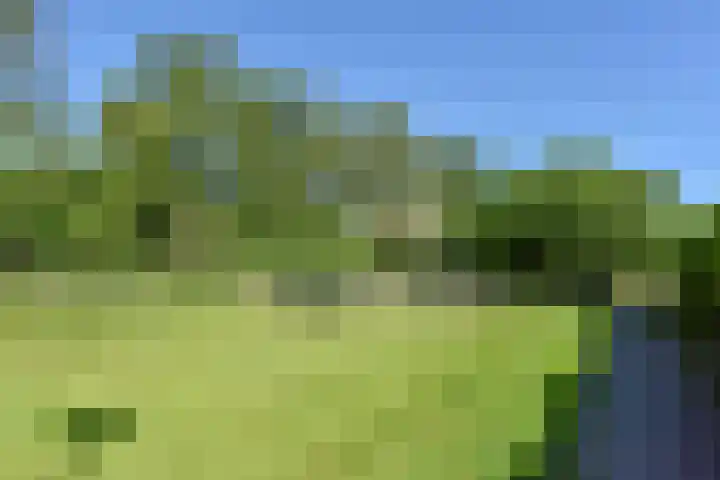 Breeuwer 89 Hoorn thumbnail 34